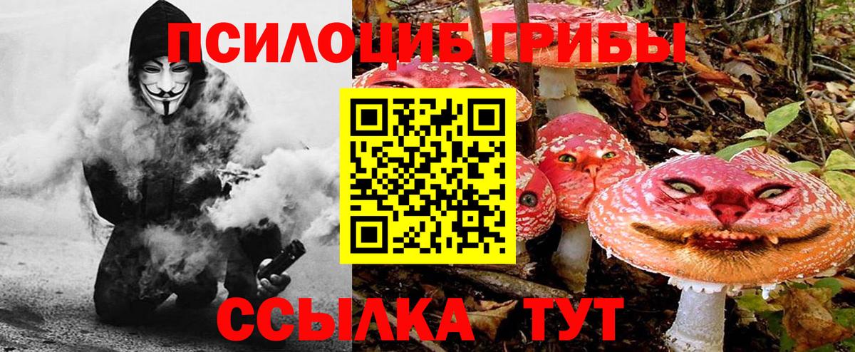 где найти   Вход с VPN  Десногорск  Галлюциногенные грибы Psilocybe 